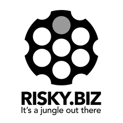 Risky Business podcast:  Taking runZero to the cloud