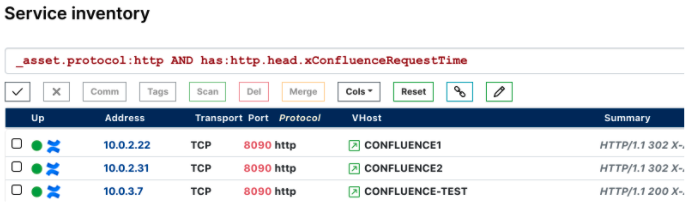 Find Confluence servers