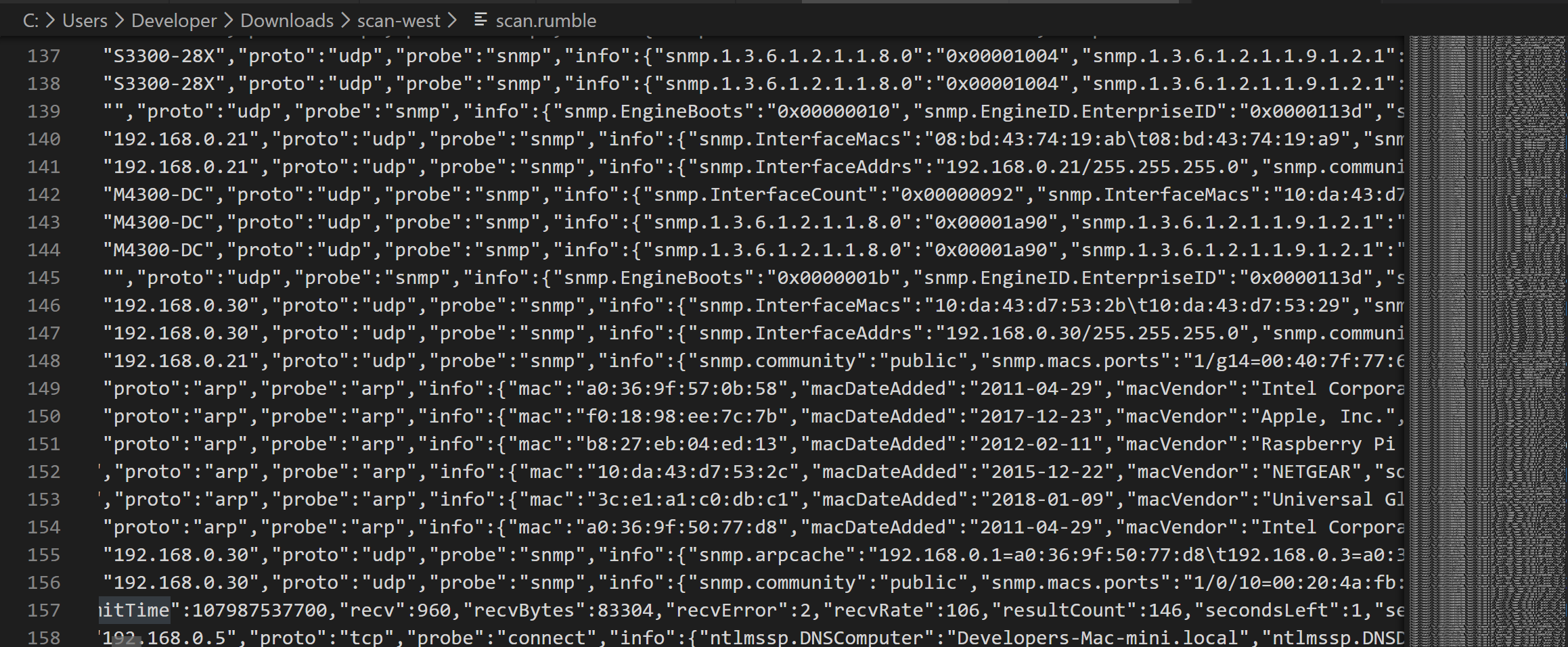 runZero Scanner Data