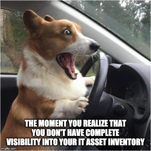 A meme with a corgi about it asset inventory
