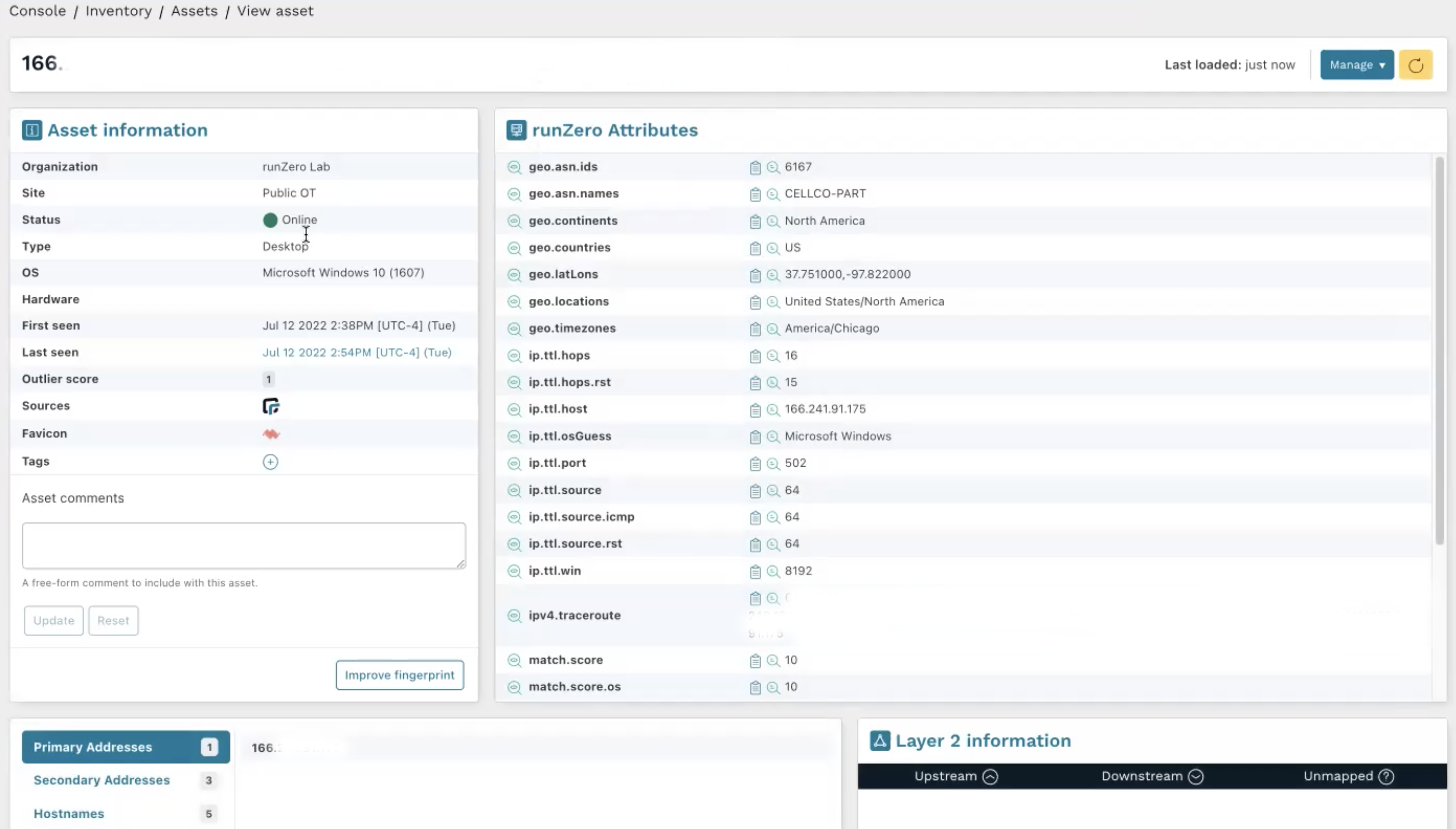 runZero view of asset information and IP addressing