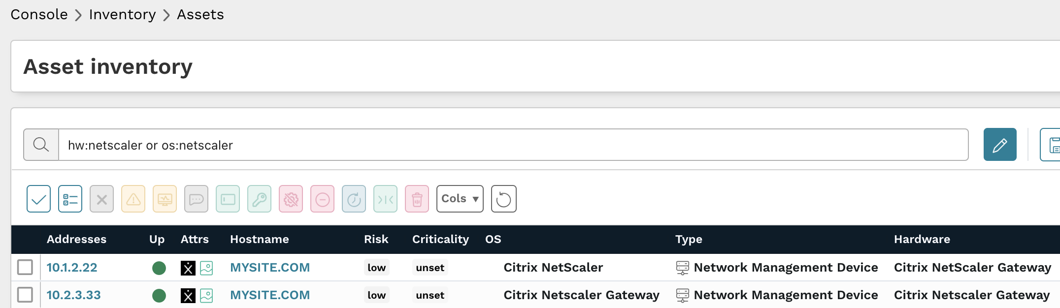 NetScaler asset query