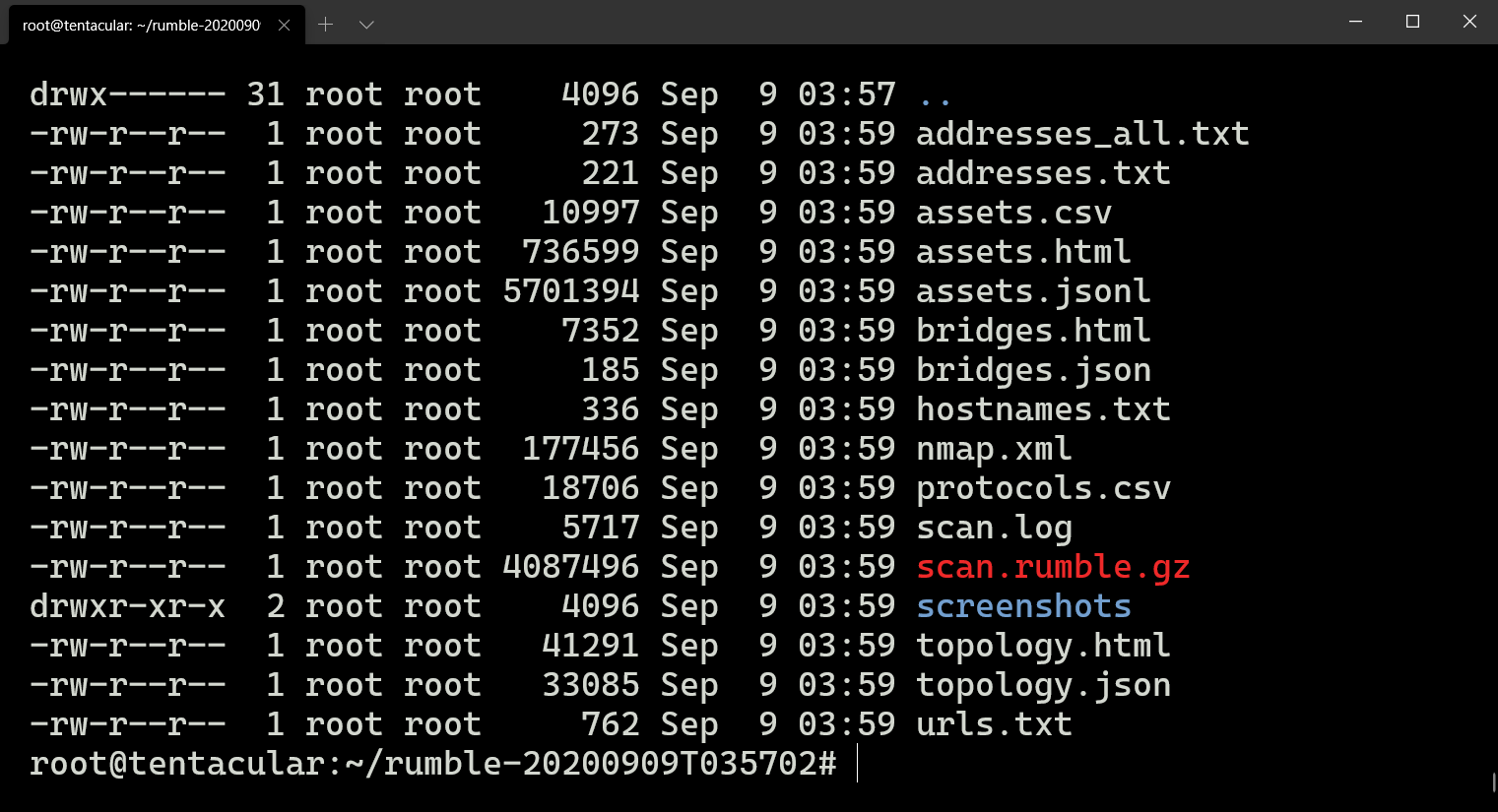 Screenshot of CLI Scanner Output