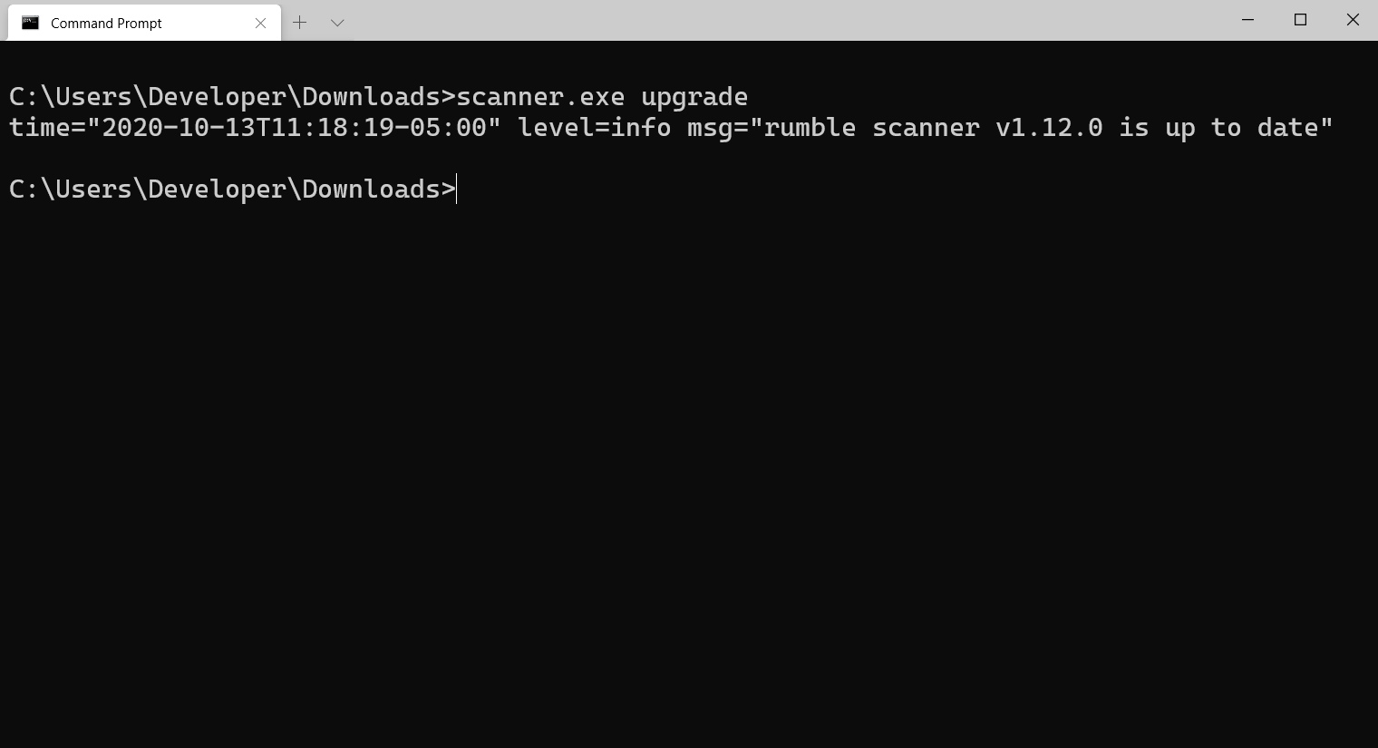 Screenshot of runZero Scanner Upgrade