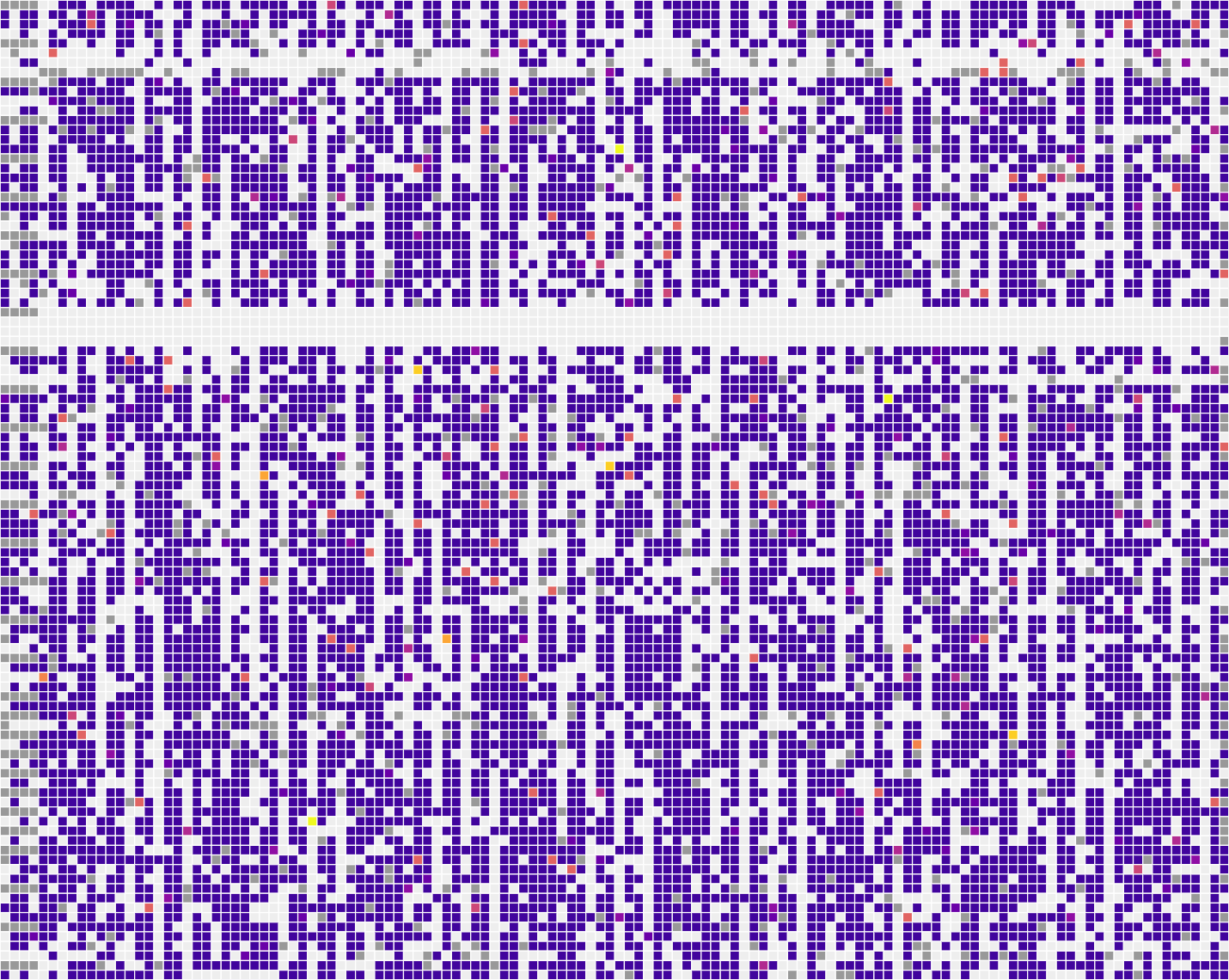 runZero Subnet Grid Report - Services
