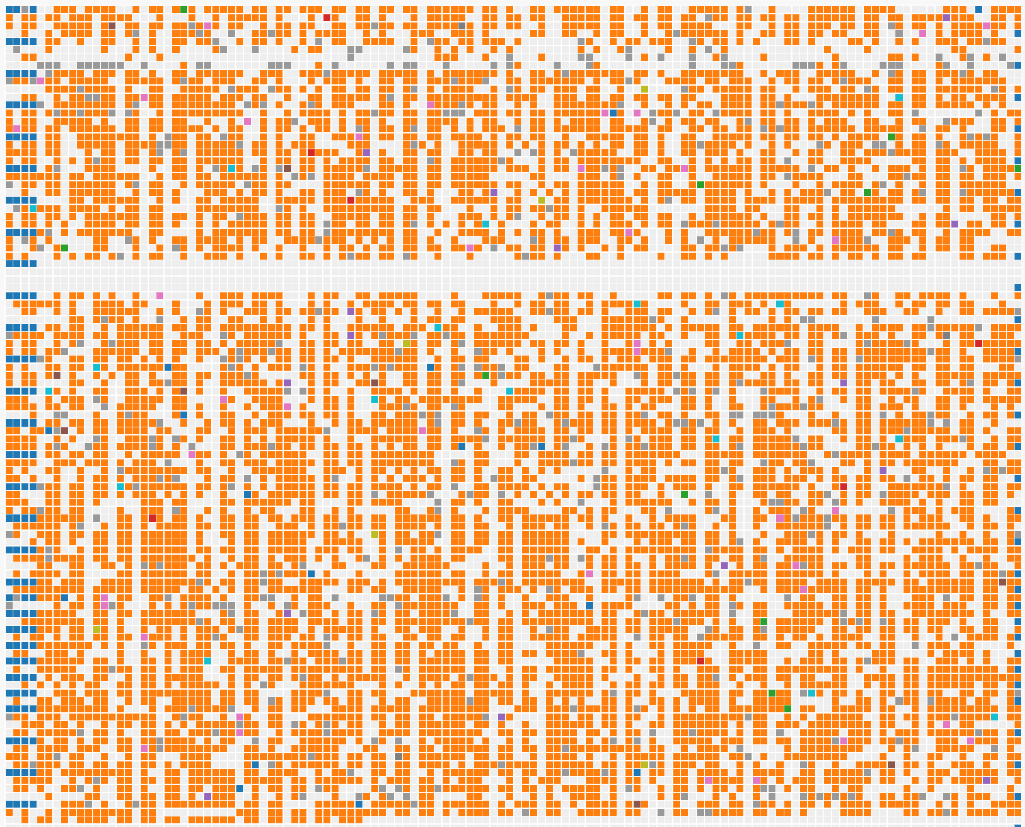 runZero Subnet Grid Report - OS