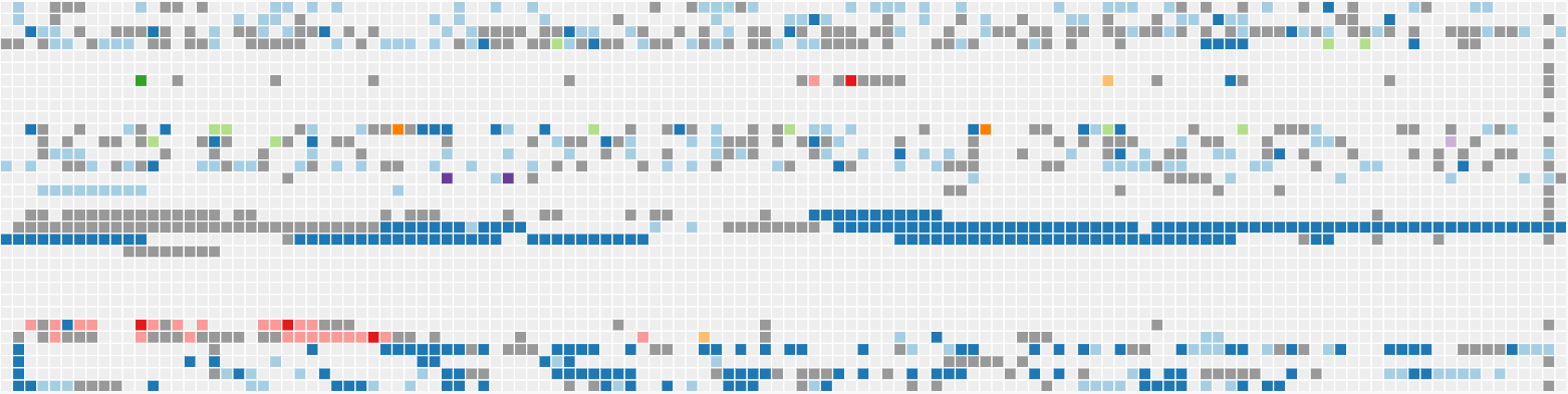 runZero Subnet Grid Report - Internal