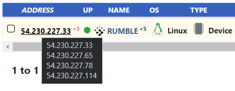 screenshot of Rumble console highlighting external DNS Correlation
