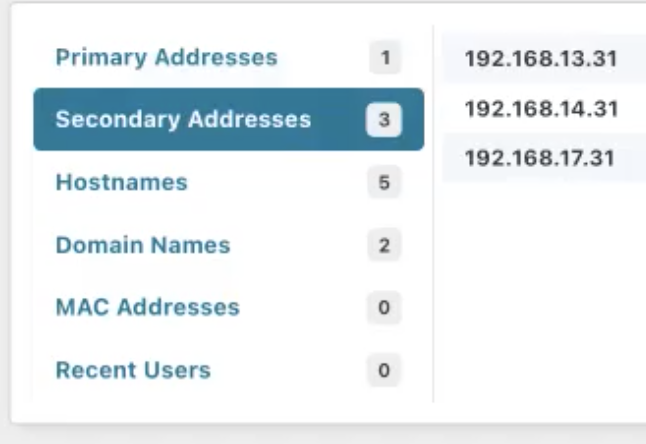 A close up view of runZero's secondary IP address display